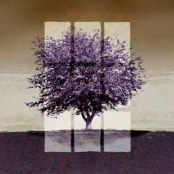 Window on a Purple Tree 3x2